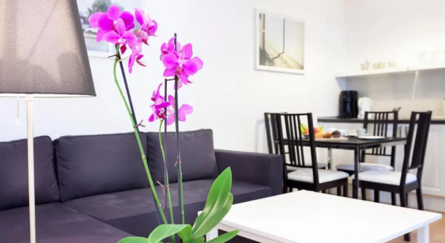 Апартаменты Lofty Torstr Apartments, 4 unique units from 1-3 bedrooms in Mitte, ideal for families & groups, from 2 up to 8 Guests