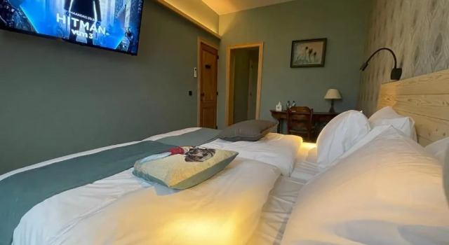Номер Standard Hôtel Demelenne