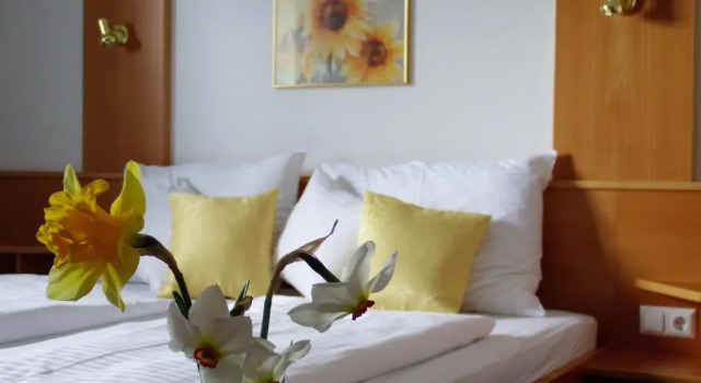 Номер Standard Gartenpension Fischl