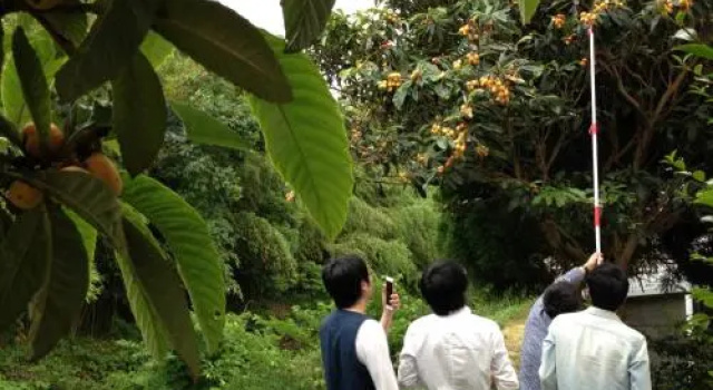 Biwa Monogatari, Boek Hotel Hotels in Tokai met parkeren, Parkeren