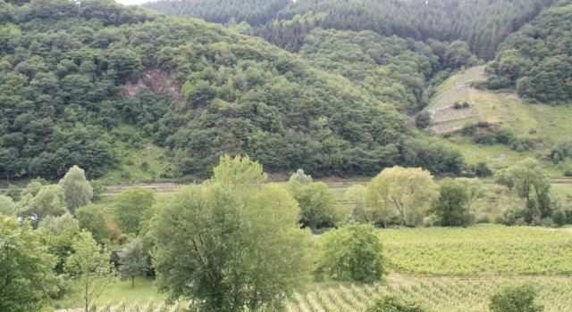 Номер Standard Weingut Sauer-Kettermann