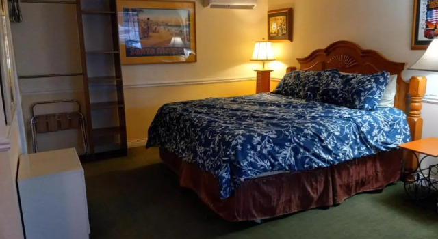 Люкс Deluxe Flamingo Motel