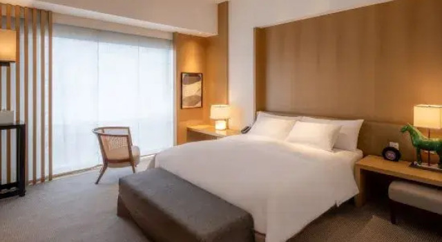 Двухместный люкс Deluxe Plaza Holiday Inn Jiayuguan