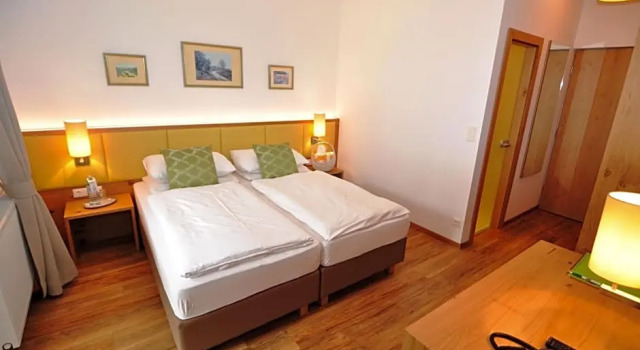 Одноместный номер Standard с балконом и с красивым видом из окна Hotel Wienerwaldhof
