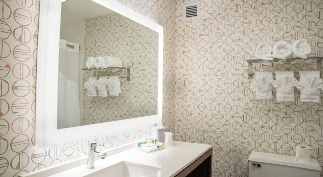 Номер Standard Holiday Inn Asheville - Biltmore West by IHG