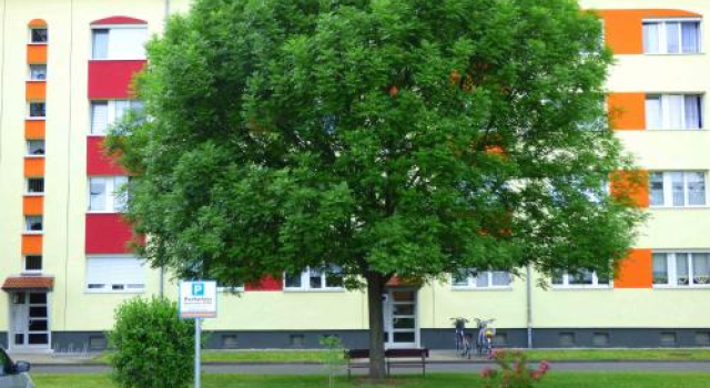 Ferienwohnung Seeblick Zwenkau