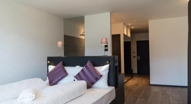 Номер Deluxe Hotel Raffl