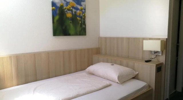Двухместный номер Standard Hotel Lötschberg