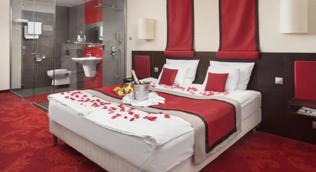 Двухместный номер Superior Rubin Wellness & Conference Hotel