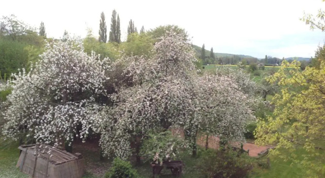 Люкс La Maison du Verger
