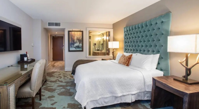 Номер Standard Grand Bohemian Lodge Asheville, Autograph Collection