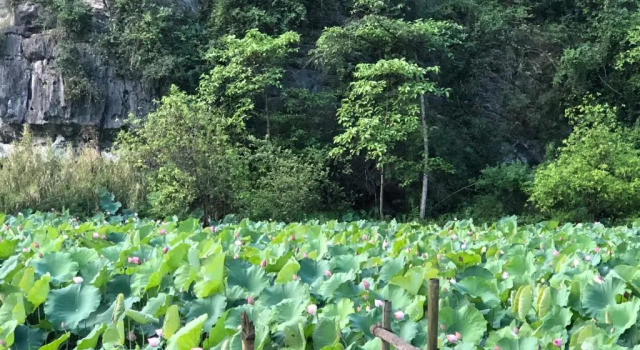 Номер Standard Trang An River View Homestay
