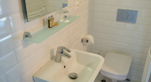 Одноместный номер Standard Boutique Hotel Pri Mlyne Lozorno