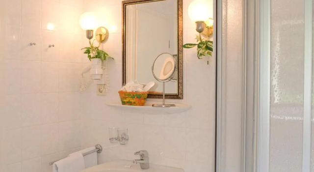 Номер Standard Hotel Sonne