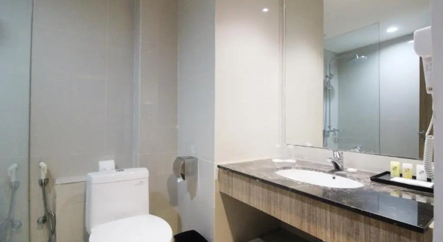 Двухместный номер Standard Swiss-Belhotel Manokwari