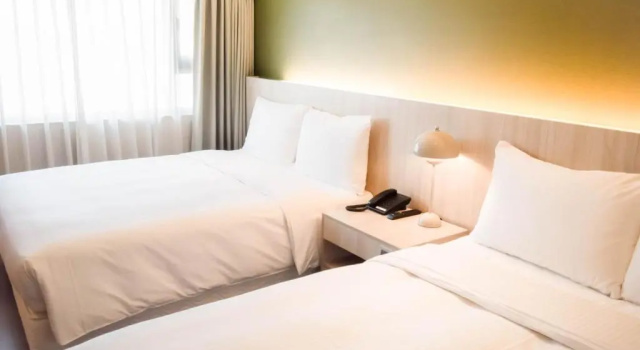 Четырёхместный номер Standard Green Hotel - Tea Way