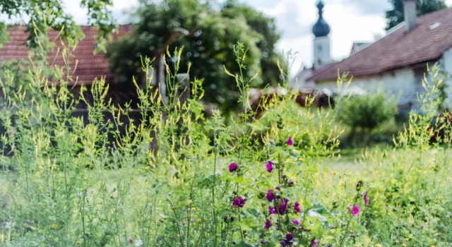 Historischer Pfarrhof Niederleierndorf, Varaa Hotelli Hotellit Baijeri pysäköinnillä, Pysäköinti
