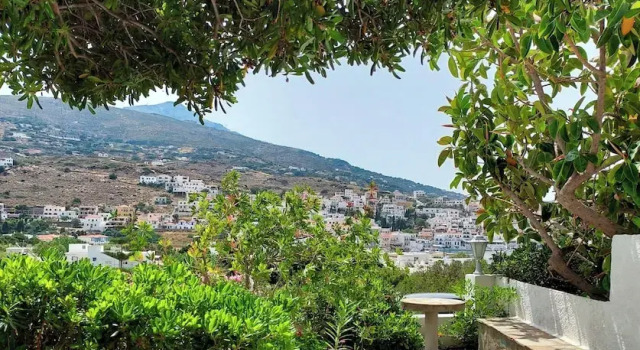 Номер Deluxe Villa Arni Andros - Βίλα ΑΡΝΗ