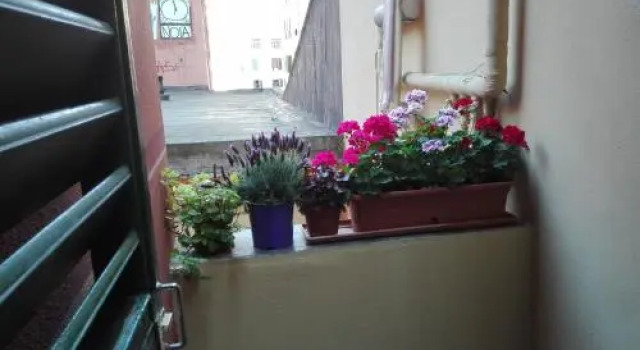 La Casa di Rosco