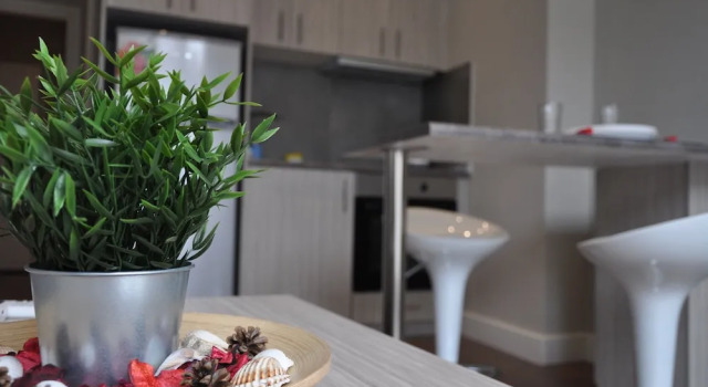Апартаменты Deluxe Penthouse Apartments, The Luxury Suites