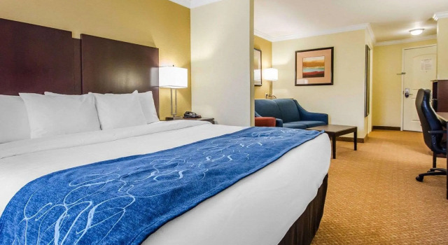 Люкс c 1 комнатой Comfort Suites Elizabethtown