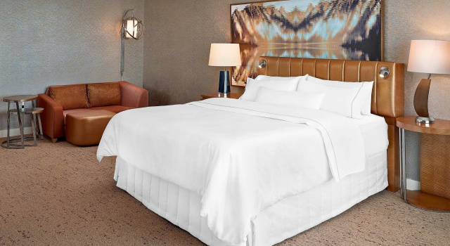Двухместный номер Deluxe с видом на город The Westin Edmonton
