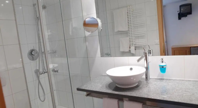Номер Deluxe Hotel Alpina Parpan