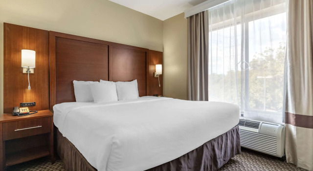 Двухместный люкс Comfort Suites Medical Center near Six Flags