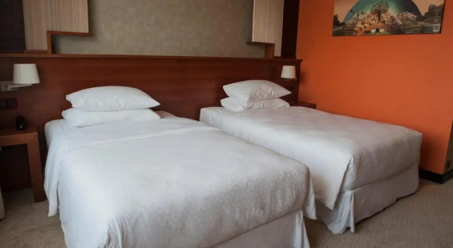 Двухместный номер Classic Four Points by Sheraton Kecskemet Hotel and Conference Center