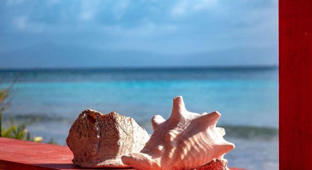 Explora San Blas, Reserva ahora Hotel Cartí Mulatupo San Blas