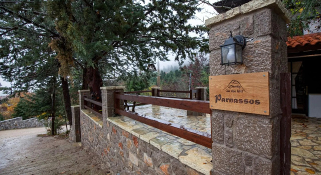 Dandy On The Hill Agoriani | Chalet Iris | Up to 6 people, Book Chalet Delphi Central Greece