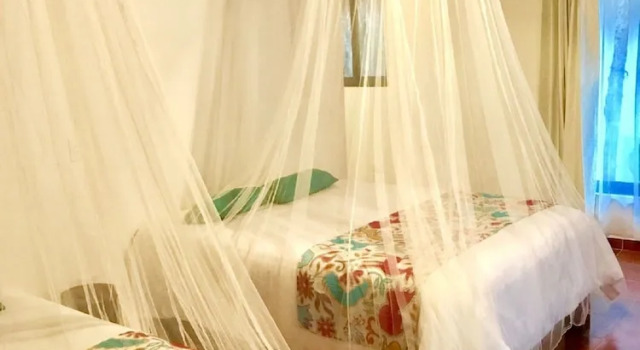 Ecovergel Riviera Maya Hotel Boutique Spa