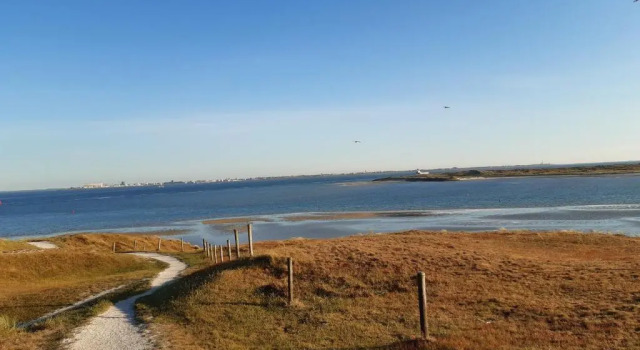 genieten texel 8