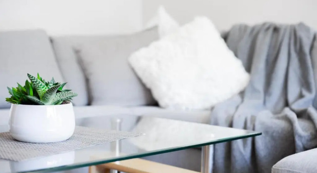 Comfort 3-room apartment with a workplace near the wood