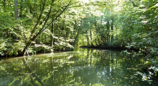 Gästehaus Liubas Insel, Rezervovat Hotel Köthen Spreewald