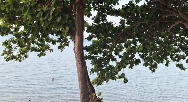 Номер Deluxe рядом с пляжем Baanfah Resort Samui