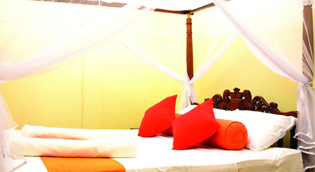 Aronka Homestay