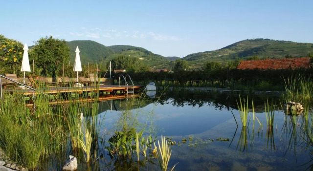 Шале ad vineas Gästehaus Nikolaihof-Hotel Garni