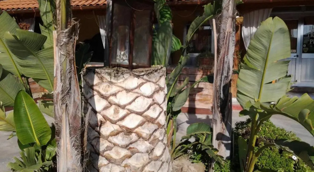 Номер Standard Oasi Le Fontanelle