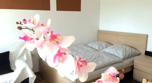 Студия Apartment Westside