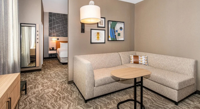 Двухместный люкс SpringHill Suites by Marriott Baltimore Downtown Convention Center Area