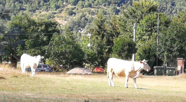 Casa di Josè e Miriam, Varaa Huoneisto Piglio Ciociaria