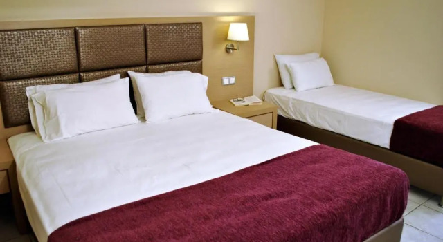 Трёхместный номер Standard Hotel Plessas Palace