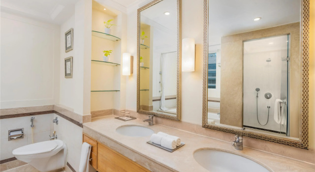 Люкс Park Plaza Gurgaon
