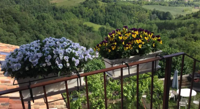 Люкс B&B Monferrato La Casa Sui Tetti