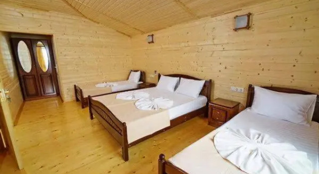 Люкс Standard Mini Hotel Green House