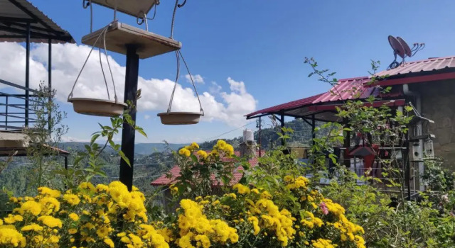 Двухместный номер Standard Poetry By The Hills Homestay, Mukteshwar
