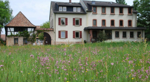 Hotel Sägmühle