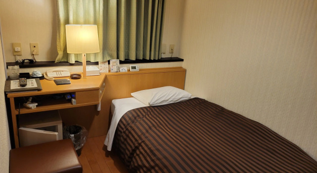 Одноместный номер Standard Hotel Osaka Castle