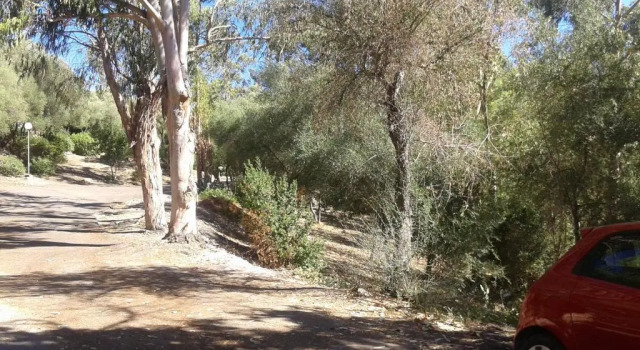 Les Marines Du Soleil, Prenota Hotel Patrimonio Capo Corso